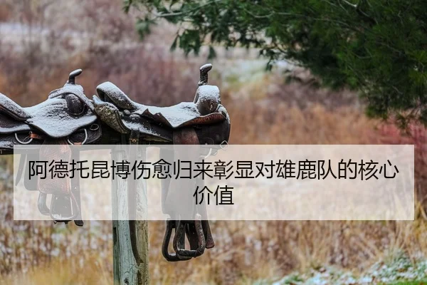 阿德托昆博伤愈归来彰显对雄鹿队的核心价值