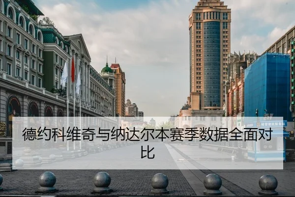 德约科维奇与纳达尔本赛季数据全面对比